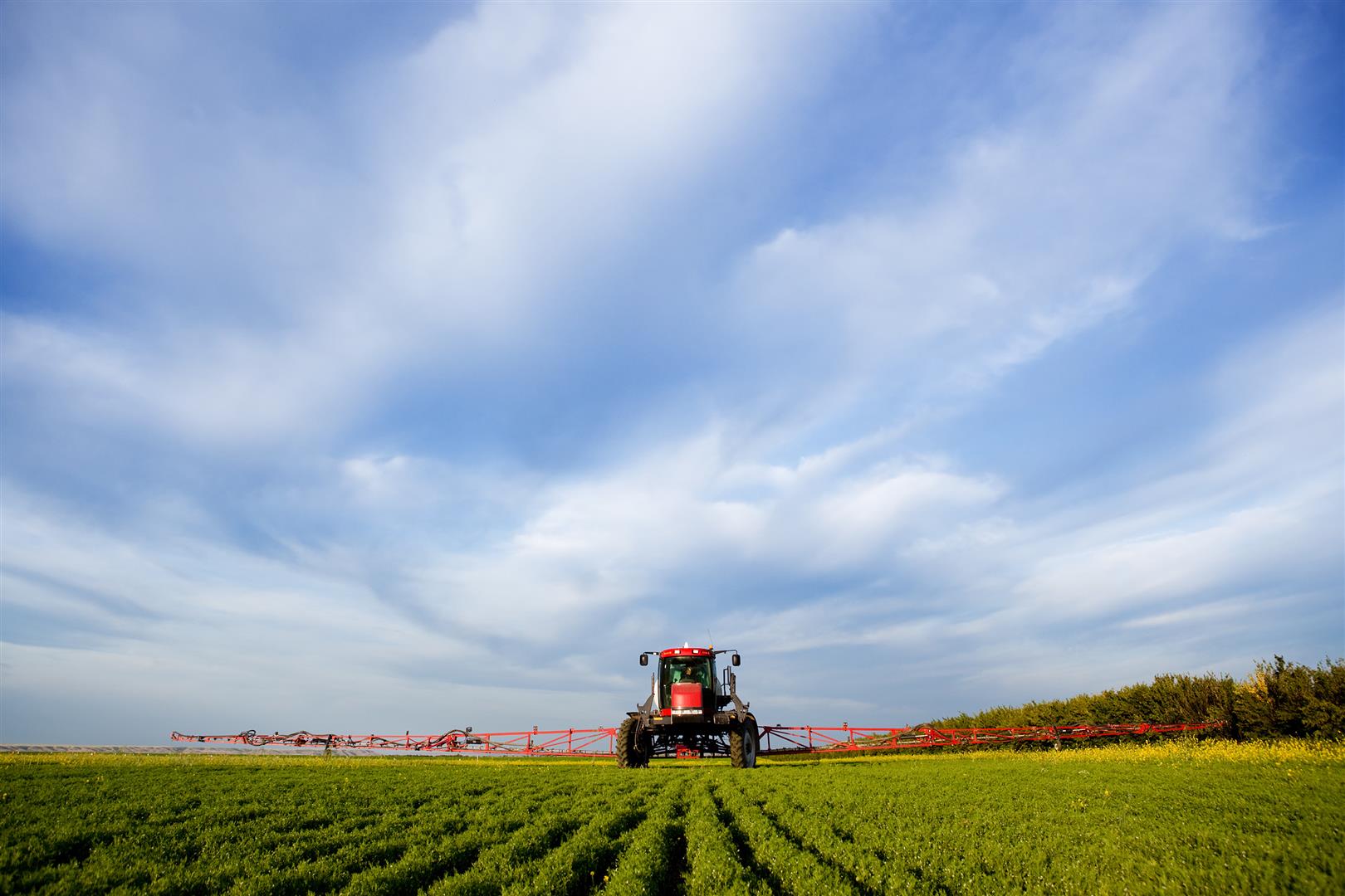 5 Safety Tips To Protect Your Family And Farmers From Hazardous Chemicals