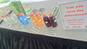 safety display