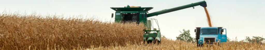 Farmers following harvest safety practices during fall harvest on the farm, collecting corn with modern equipment.