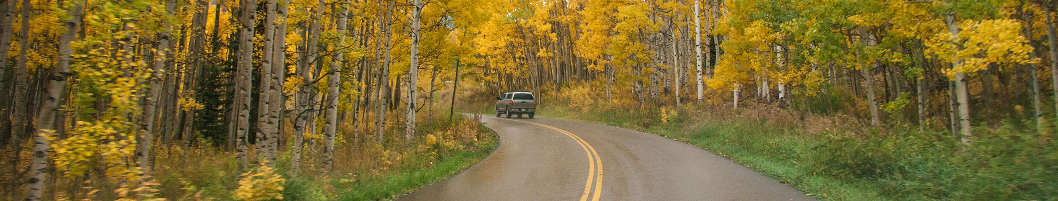 auto insurance banner