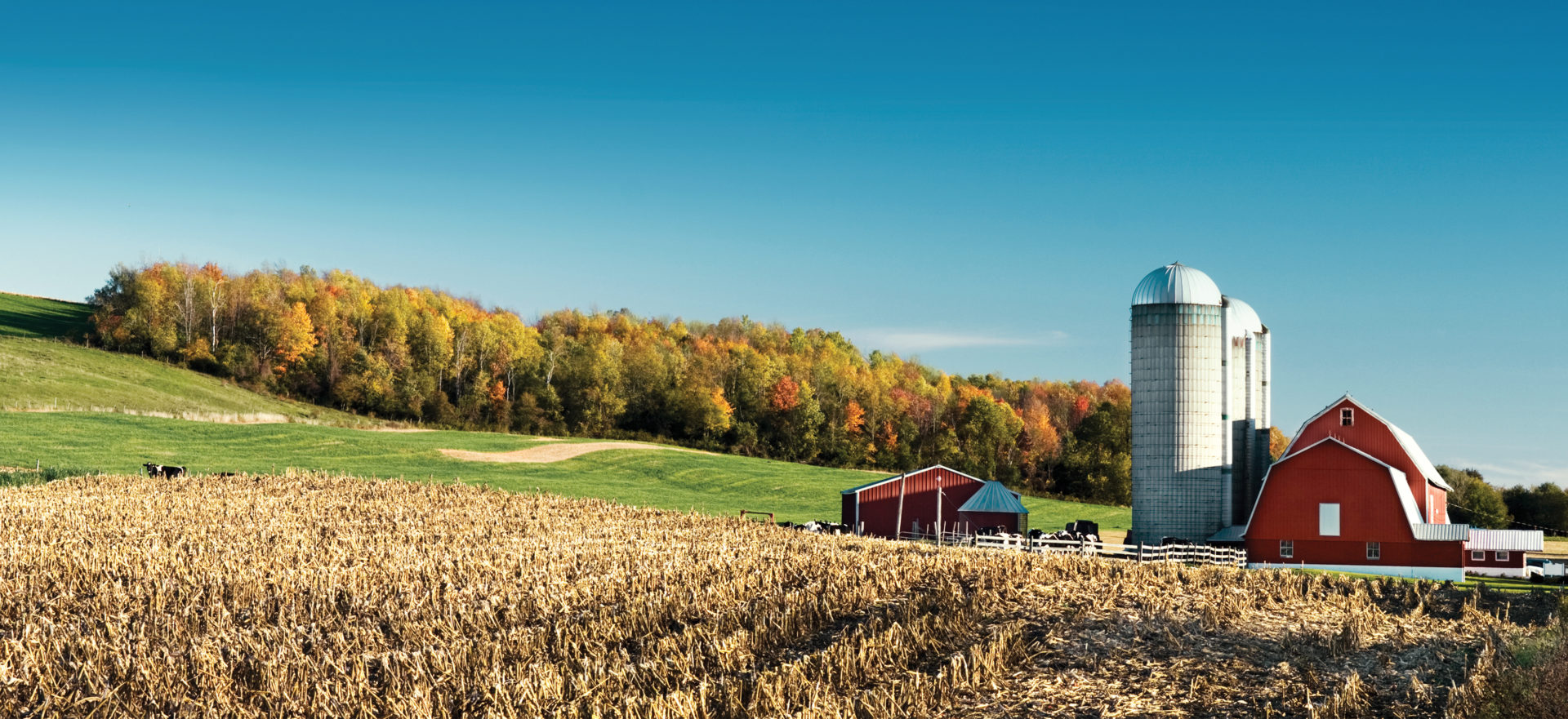  Rural Mutual Insurance Company