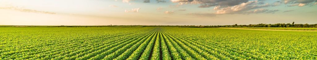 crop insurance changes banner