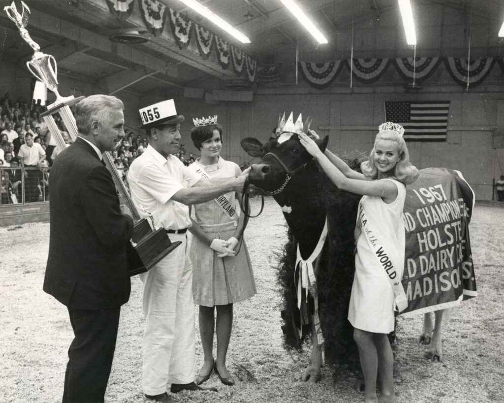 1967 holstein champion