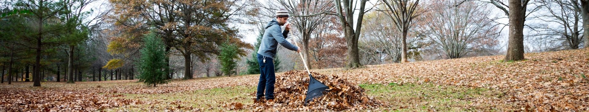 man raking leaves