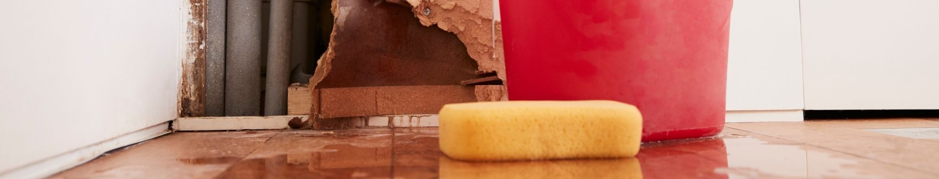 sponge cleaning water damage