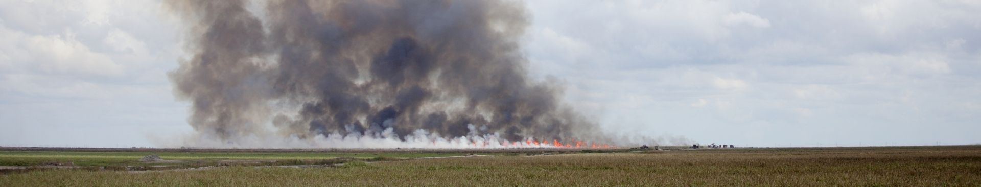 smoke in field from farm fire