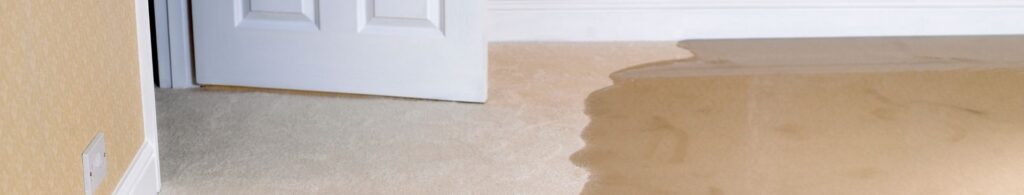 water damage on carpet