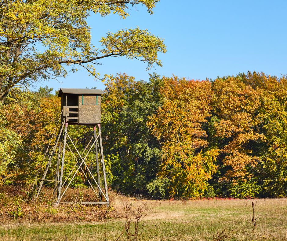 Aim for Safety this Hunting Season Rural Mutual Insurance