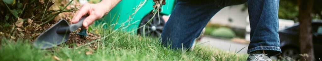 yardwork in grass