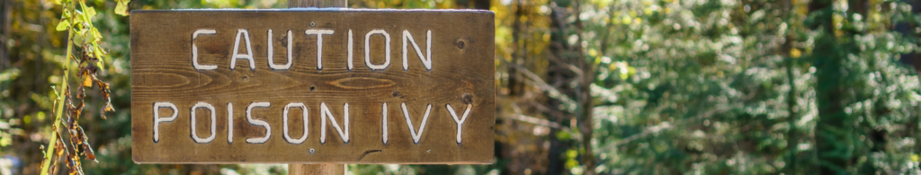 Know how to identify and treat poison ivy