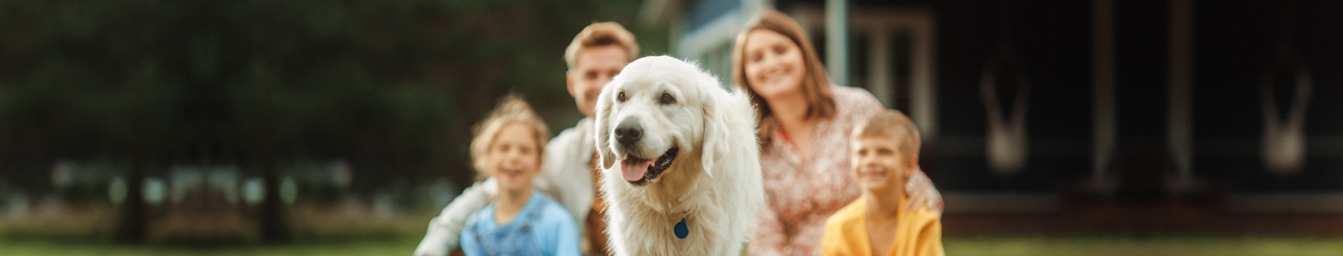 life insurance banner featuring happy family and dog