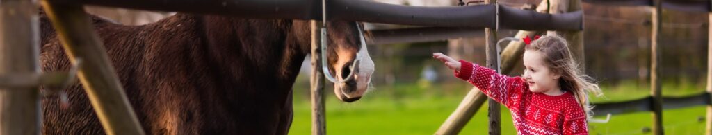 young girl petting horse through fence