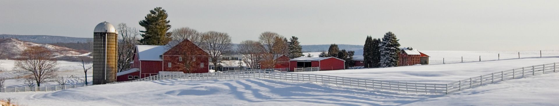 farm in winter