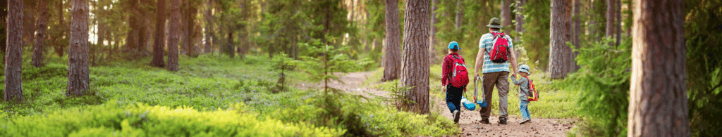 Image of father and sons hiking
