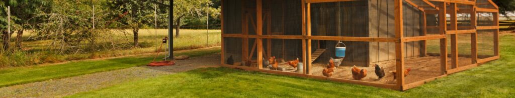 chicken coop