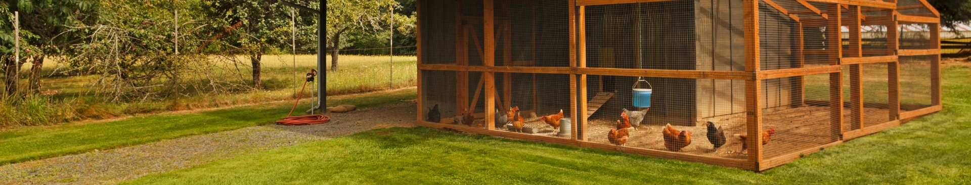 chicken coop
