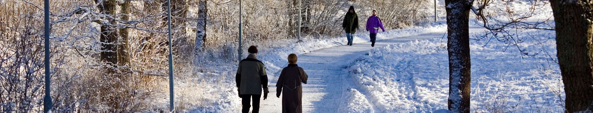 people walking on a path in winter